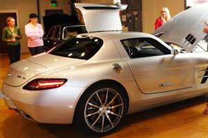 gullwing